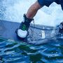 Thumbnail missing for jobe-conflict-wakeboard-2019-alt2-thumb