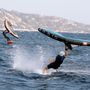 Thumbnail missing for ensis-balz-junior-helmet-alt3-thumb
