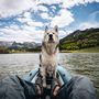 Thumbnail missing for aquaglide-chelan-alt3-thumb