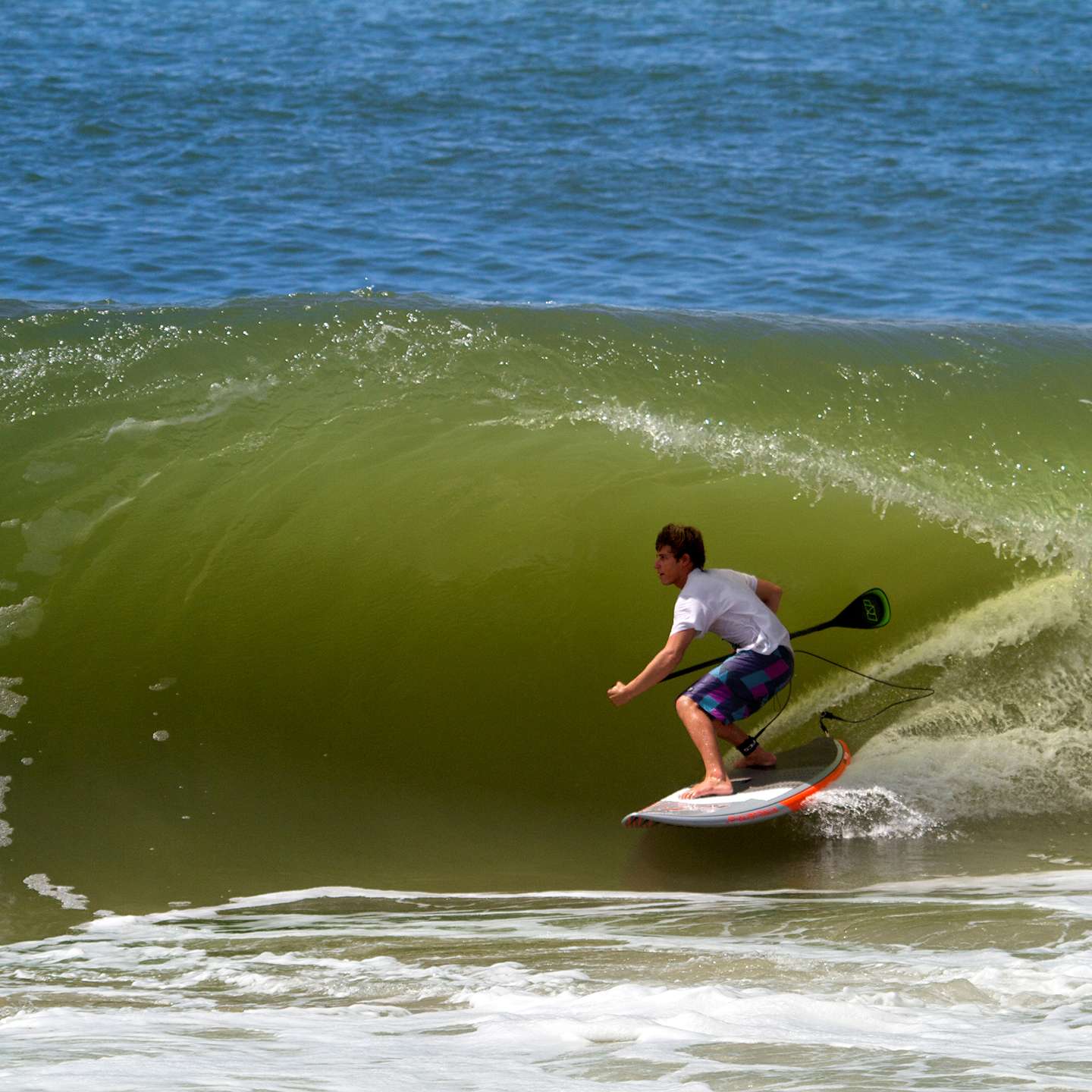 Focus SUP surf board 7‘10” 江戸川区直接受け渡し Surf SUP - Focus SUP Hawaii