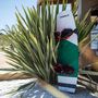 Thumbnail missing for nobile-whirly-bird-wakeboard-2017-alt1-thumb