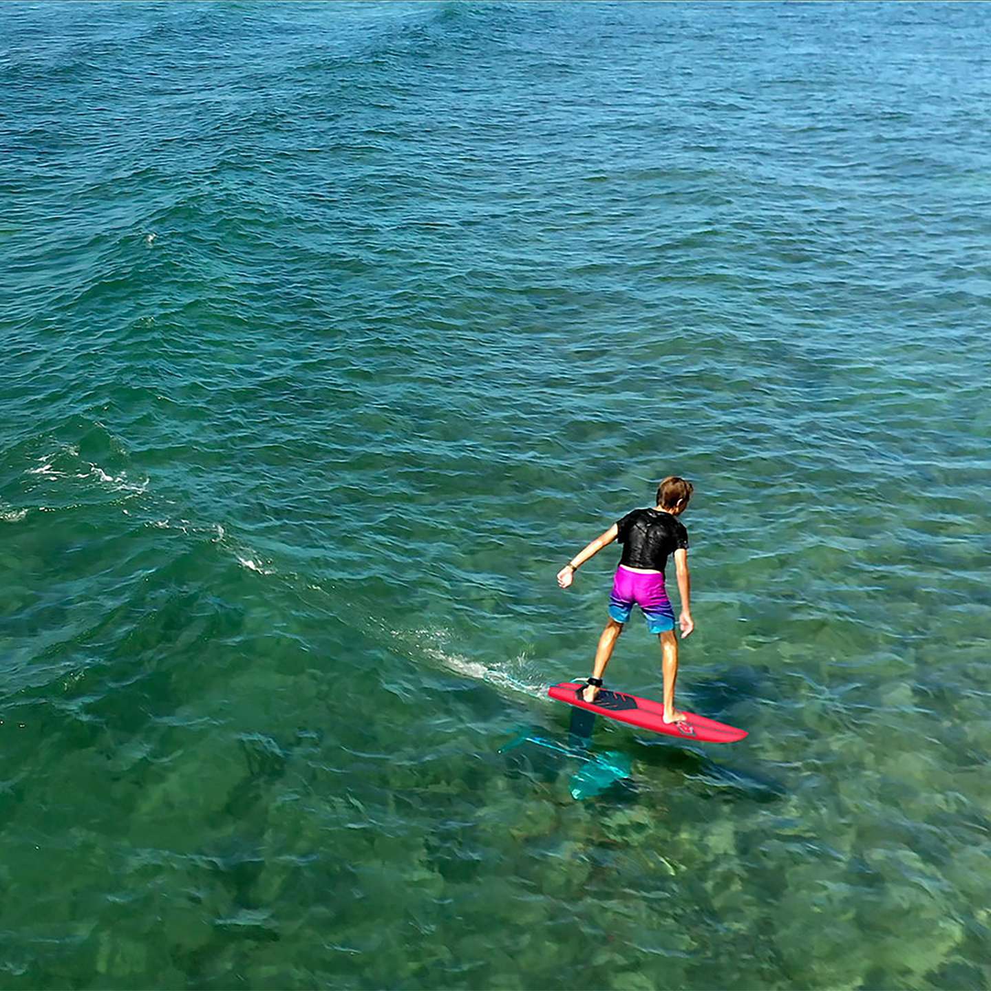  Surf Board Brand