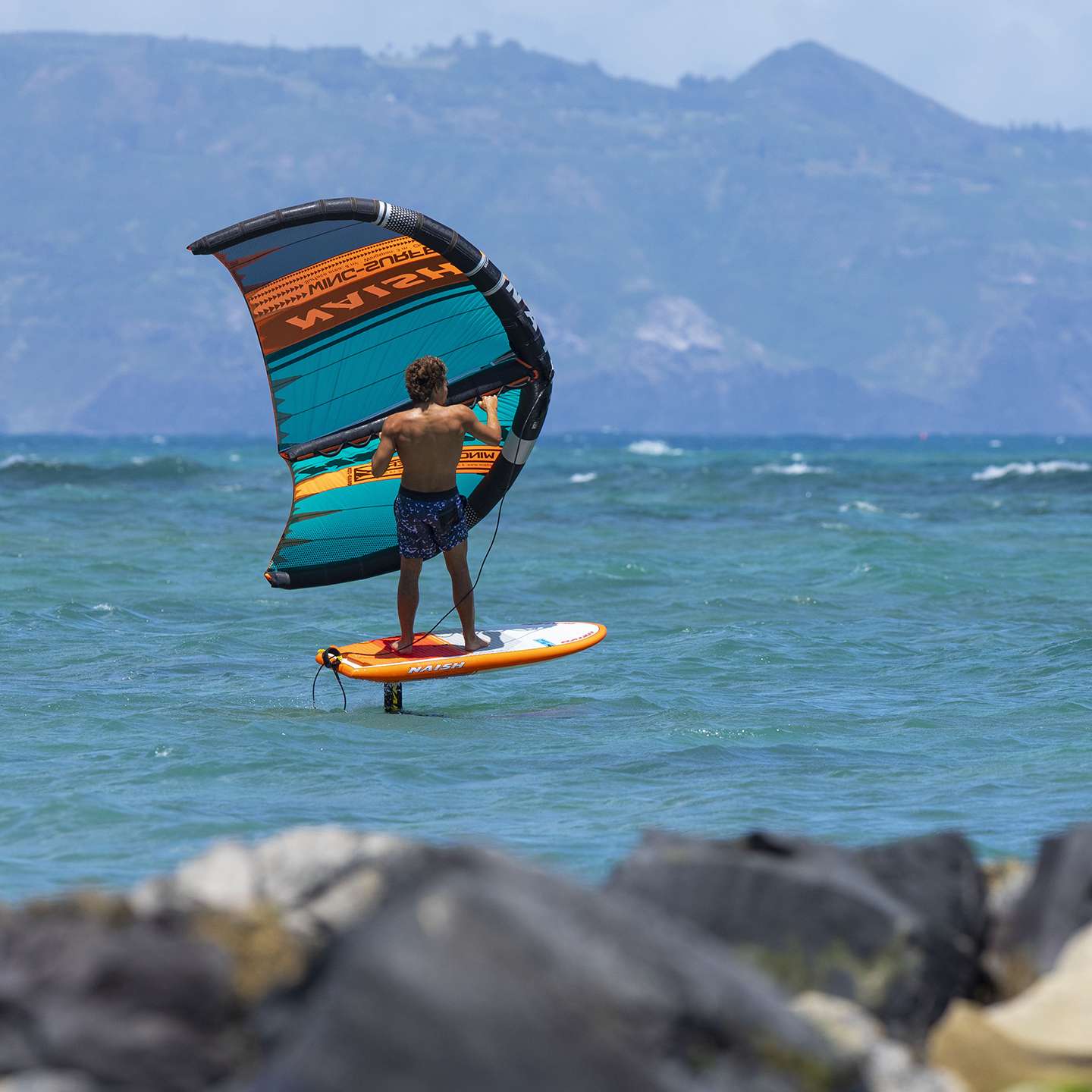naish wing naish wing