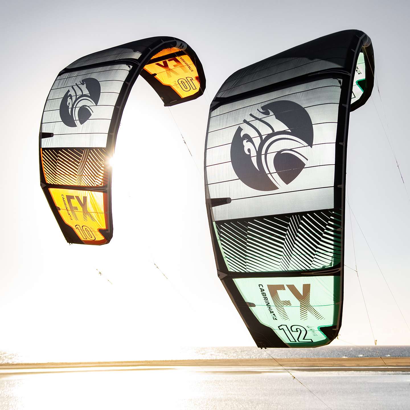 Cabrinha FX 2021 Kite profile view showing the inflated kite arc, swept wingtips, strut depth and aerodynamic canopy shape