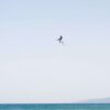 F-One Spark Carbon Kiteboard 2026 bottom graphic view