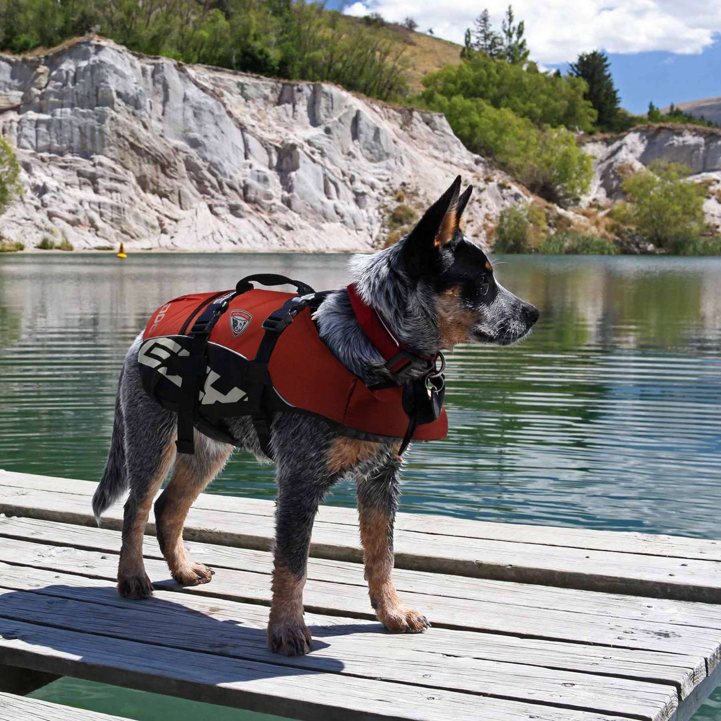 EzyDog dog flotation device lifejacket in red detail view showing flotation panels, secure straps and grab handle