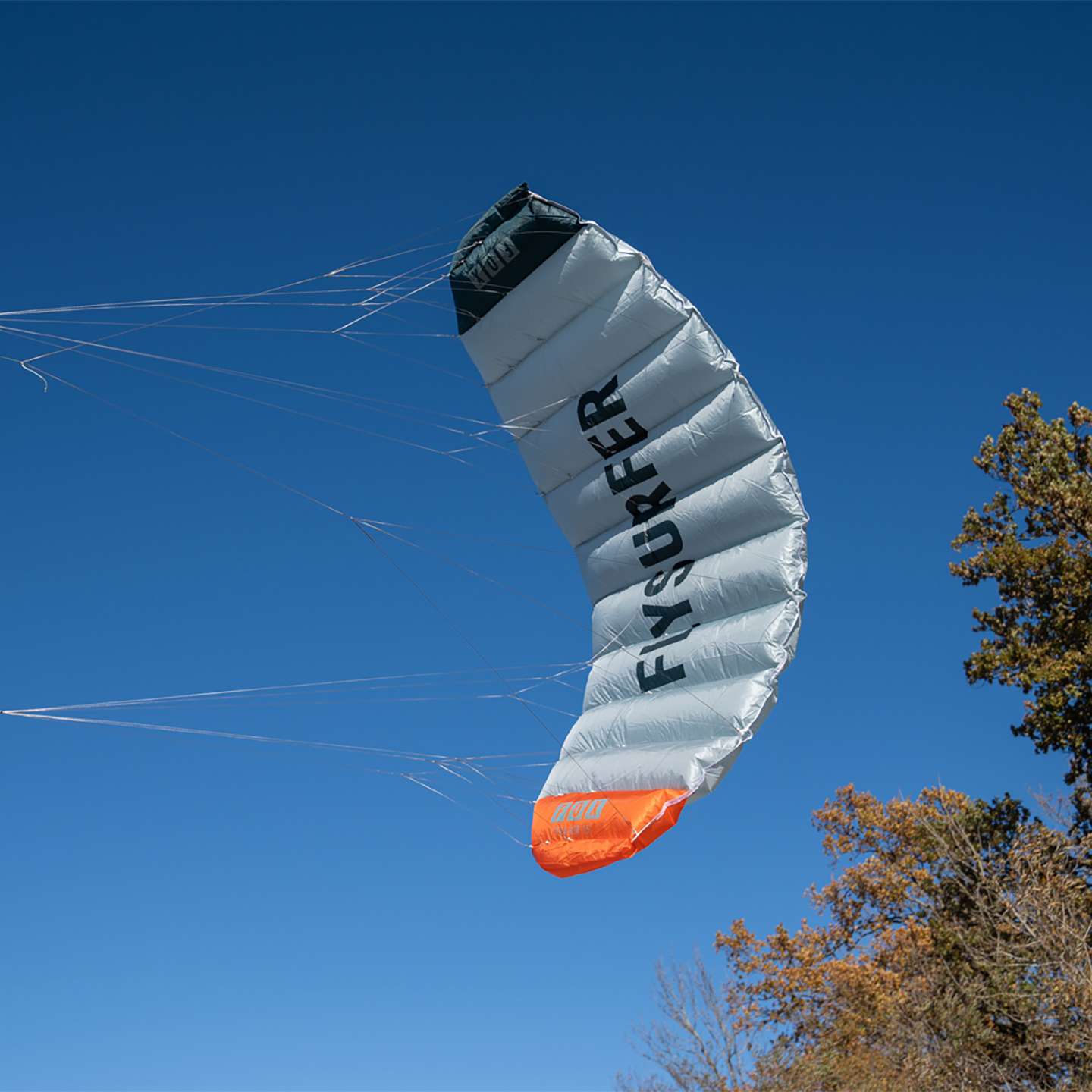 Flysurfer Fox Trainer Kite, canopy, bridle and panel detail view