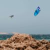 Harlem Thrive Kite, close-up of canopy panels and leading edge details