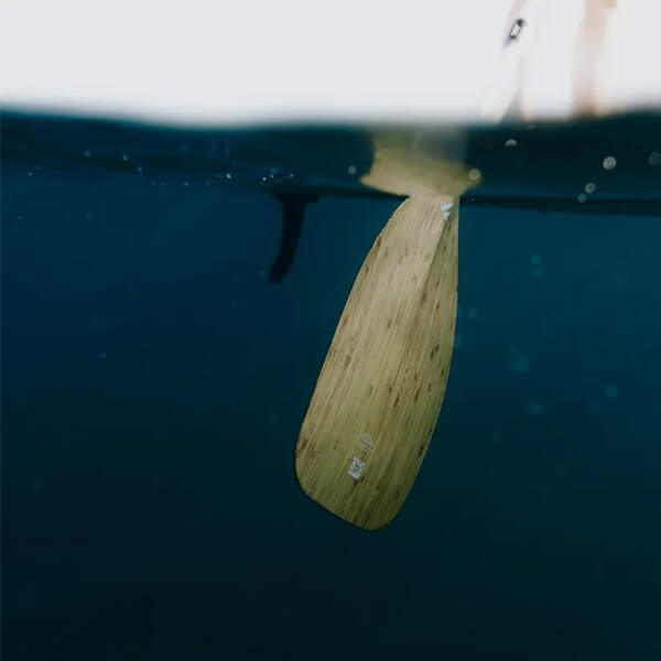Shop SUP Paddles