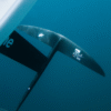 F-One Eagle v2 Titan 2 Front Wing component detail image
