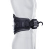 ION Rogue Wing Waist Harness 2026 back support view